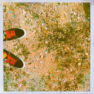 Meet your Posher, Joey